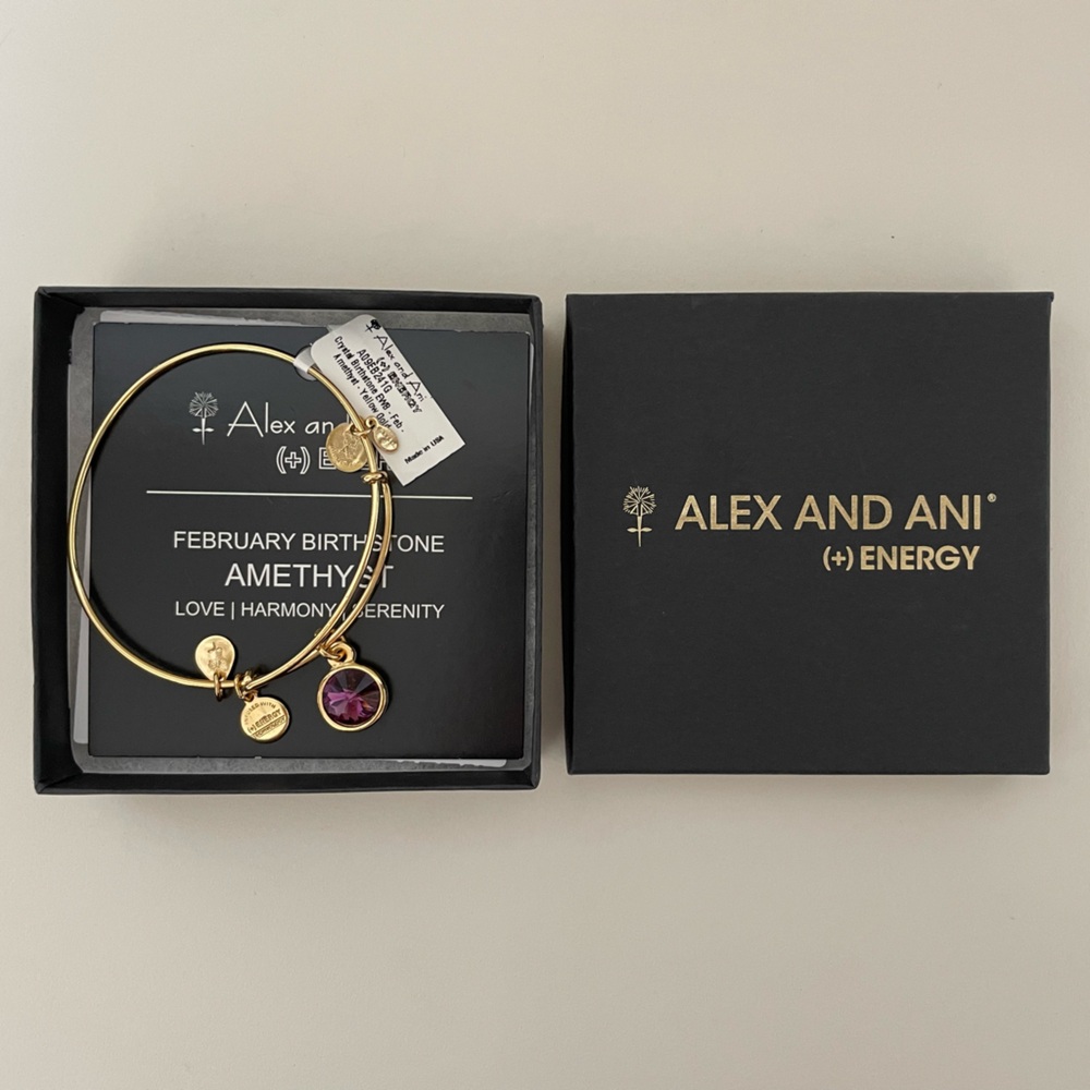 Alex and Ani Amethyst February Birthstone (+) Energy Charm Bracelet